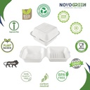 NOVOGREEN 6x6 Inch Square White Compostable Bagasse Clamshell Takeaway Boxes – Heavy-Duty, 400ml, Pack of 50 – Eco-Friendly Food Containers for Restaurants, Picnics, and Events