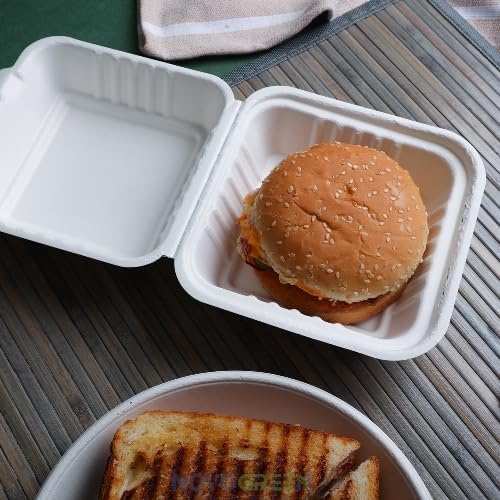 NOVOGREEN 6x6 Inch Square White Compostable Bagasse Clamshell Takeaway Boxes – Heavy-Duty, 400ml, Pack of 50 – Eco-Friendly Food Containers for Restaurants, Picnics, and Events