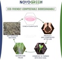 NOVOGREEN 6-Inch Pink Heavy-Duty Compostable Bagasse Plates – Round, Eco-Friendly, Pack of 50 – Ideal for Parties, Picnics, and Special Events