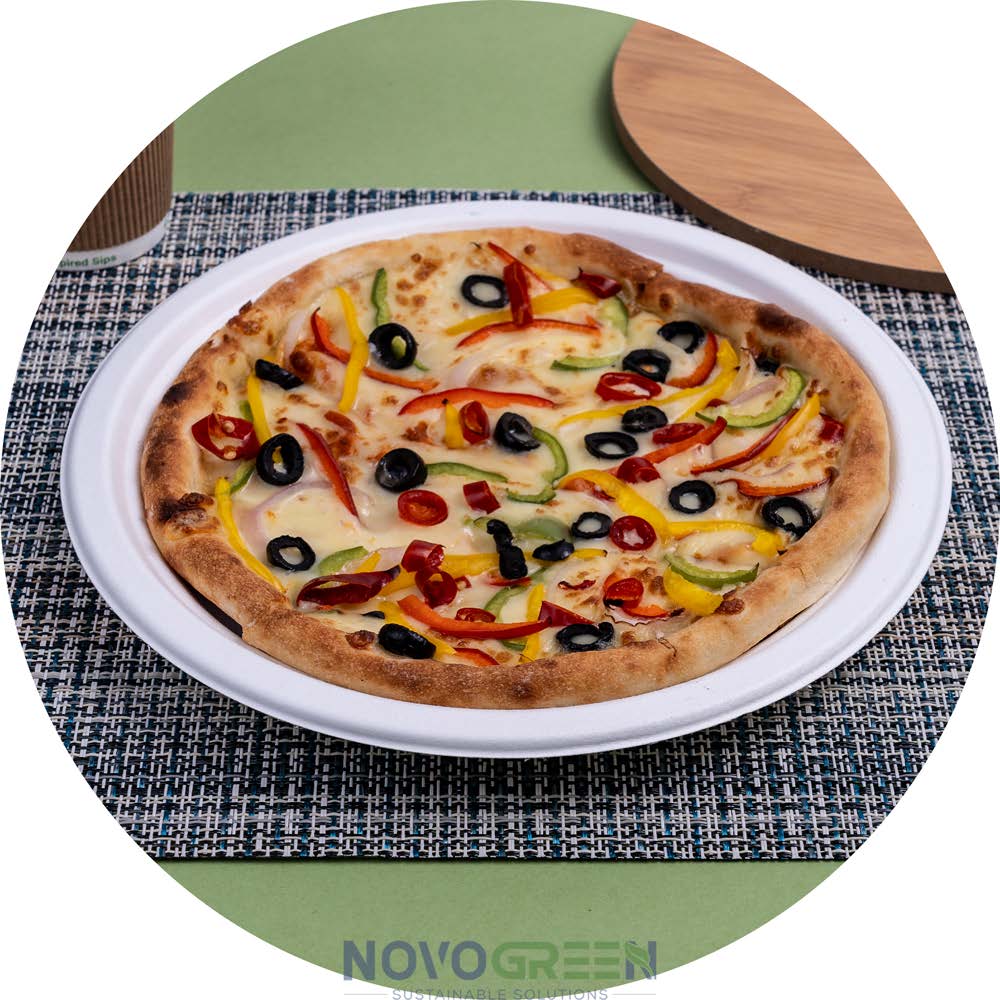 9" Heavy Duty Compostable Bagasse Plates